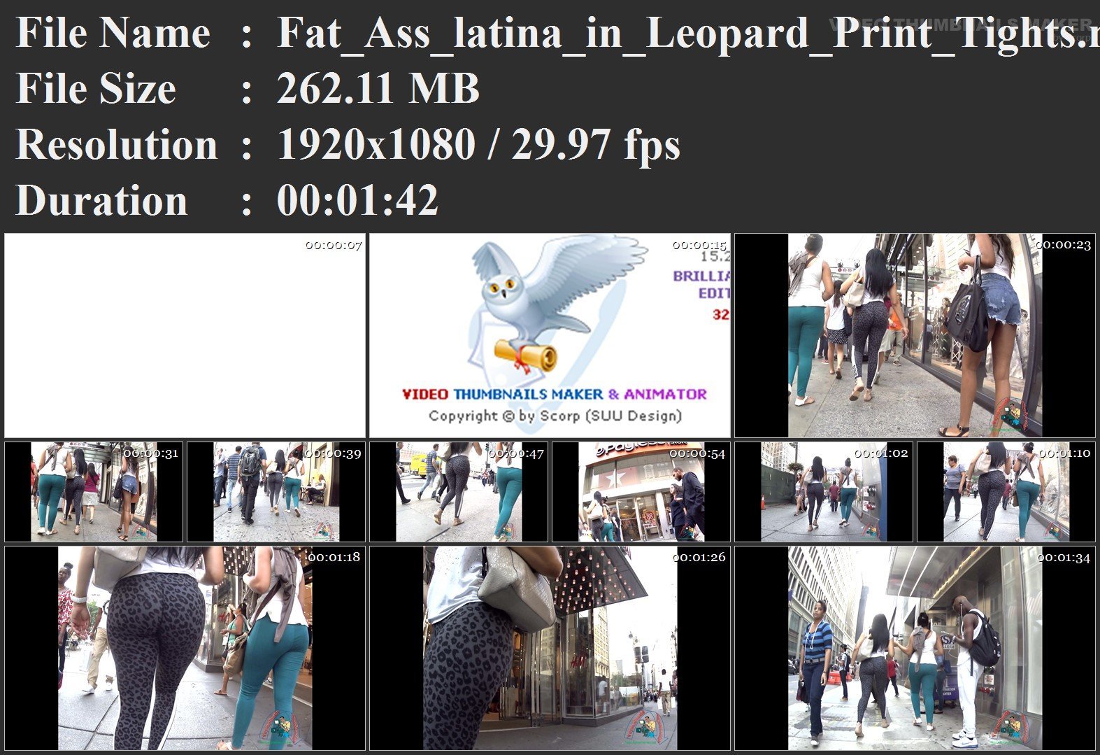 Fat_Ass_latina_in_Leopard_Print_Tights.mp4.jpg