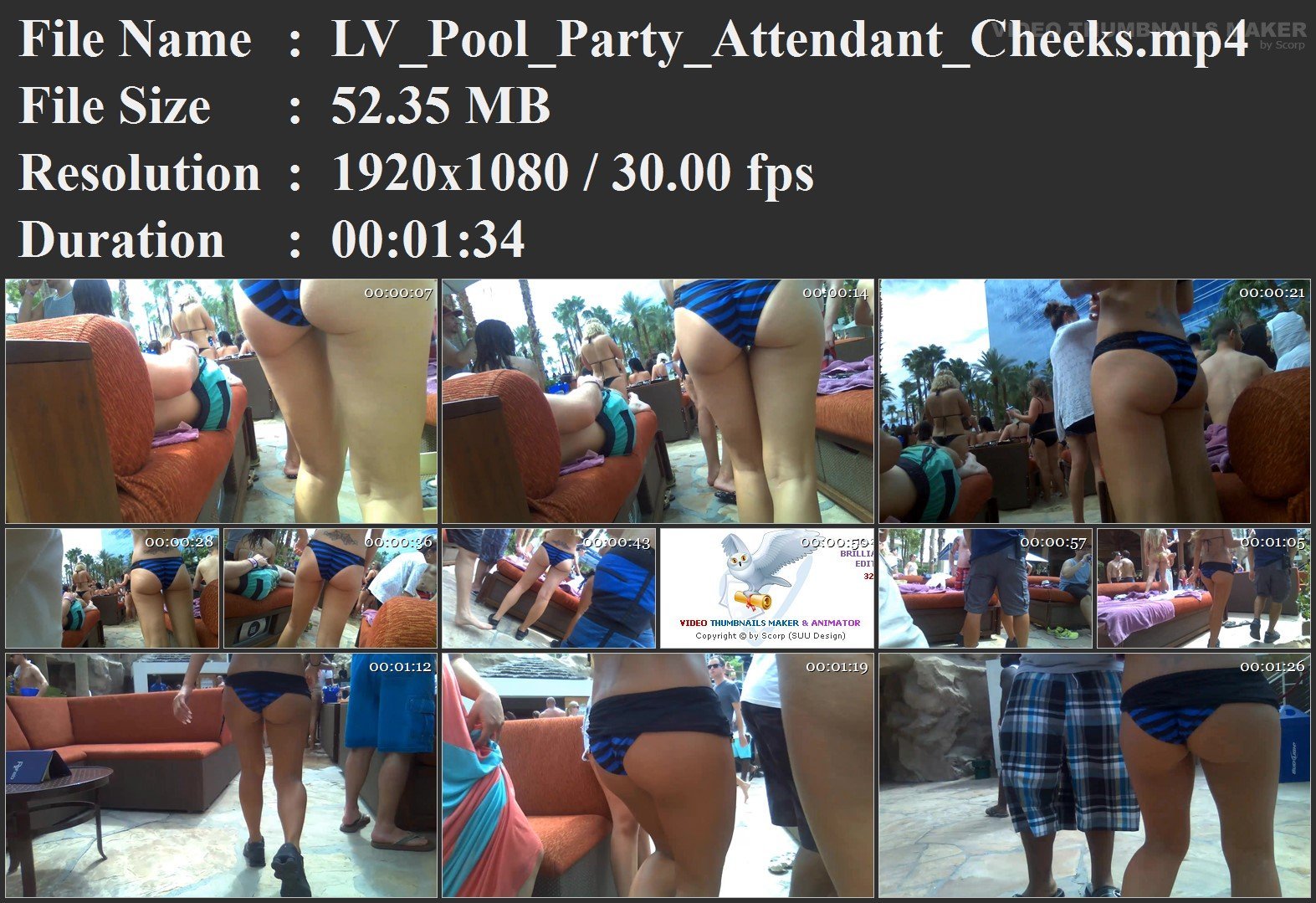 LV_Pool_Party_Attendant_Cheeks.mp4.jpg