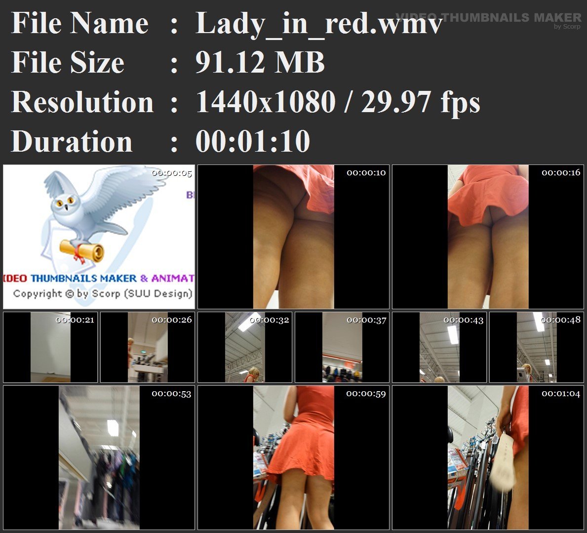 Lady_in_red.wmv.jpg