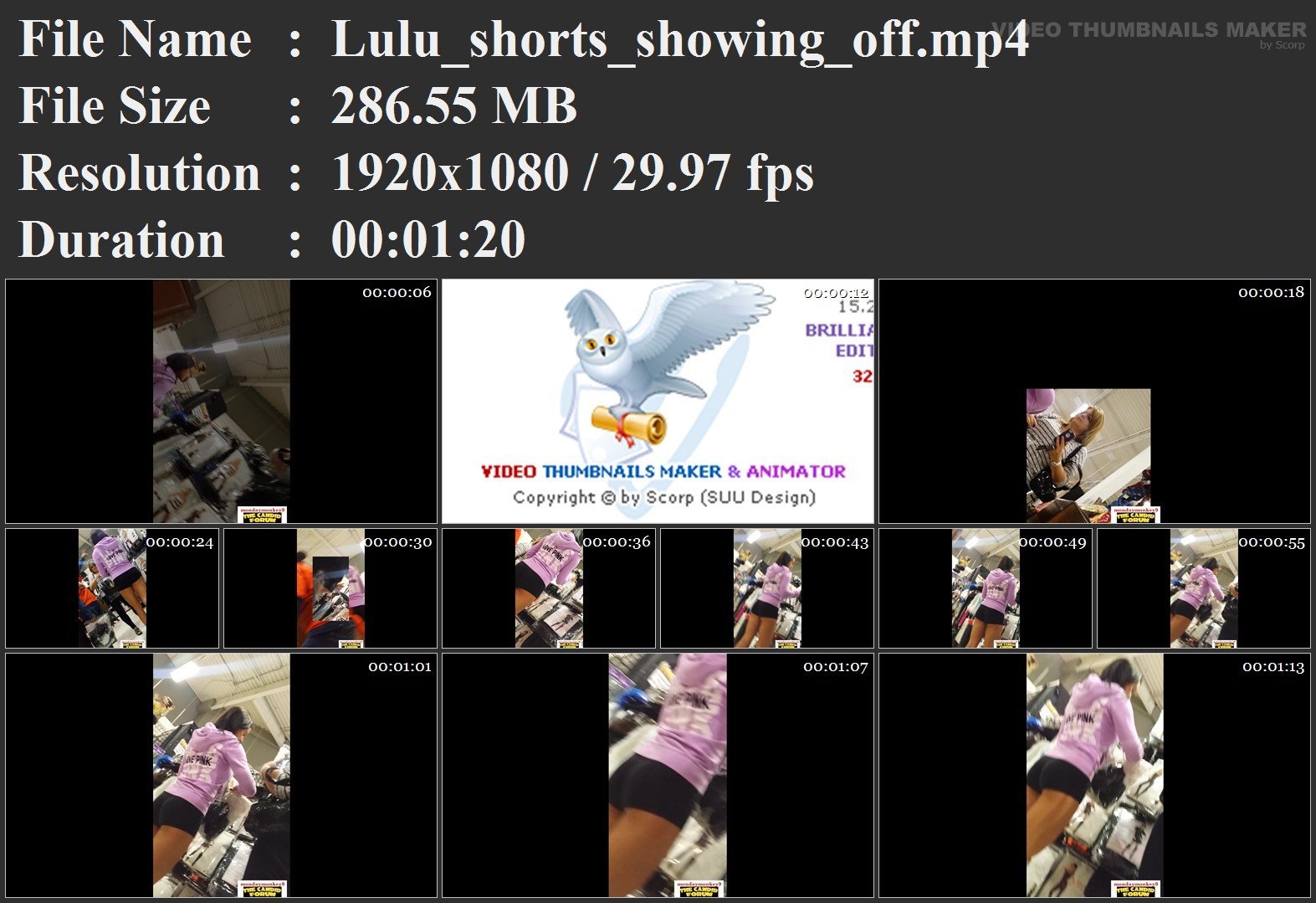 Lulu_shorts_showing_off.mp4.jpg