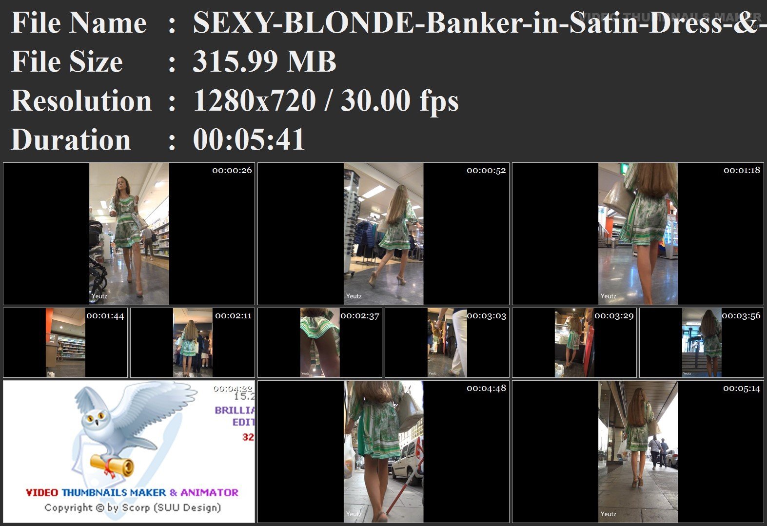 SEXY-BLONDE-Banker-in-Satin-Dress-_-High-.wmv.jpg
