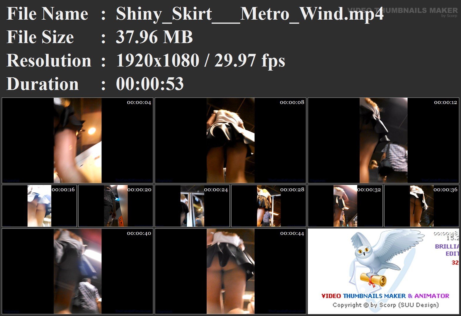 Shiny_Skirt___Metro_Wind.mp4.jpg