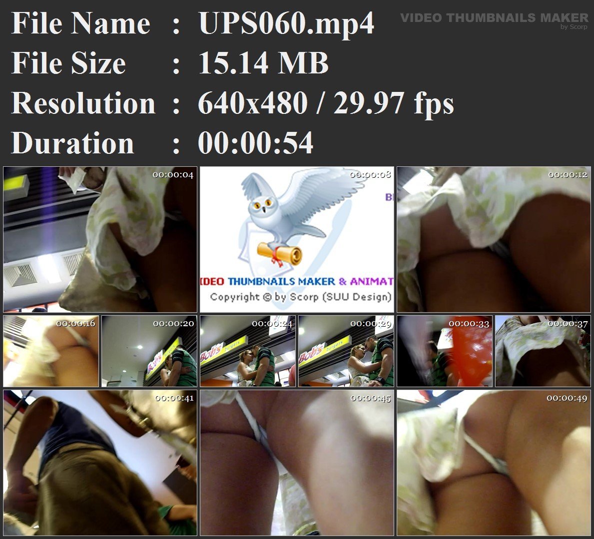 UPS060.mp4.jpg
