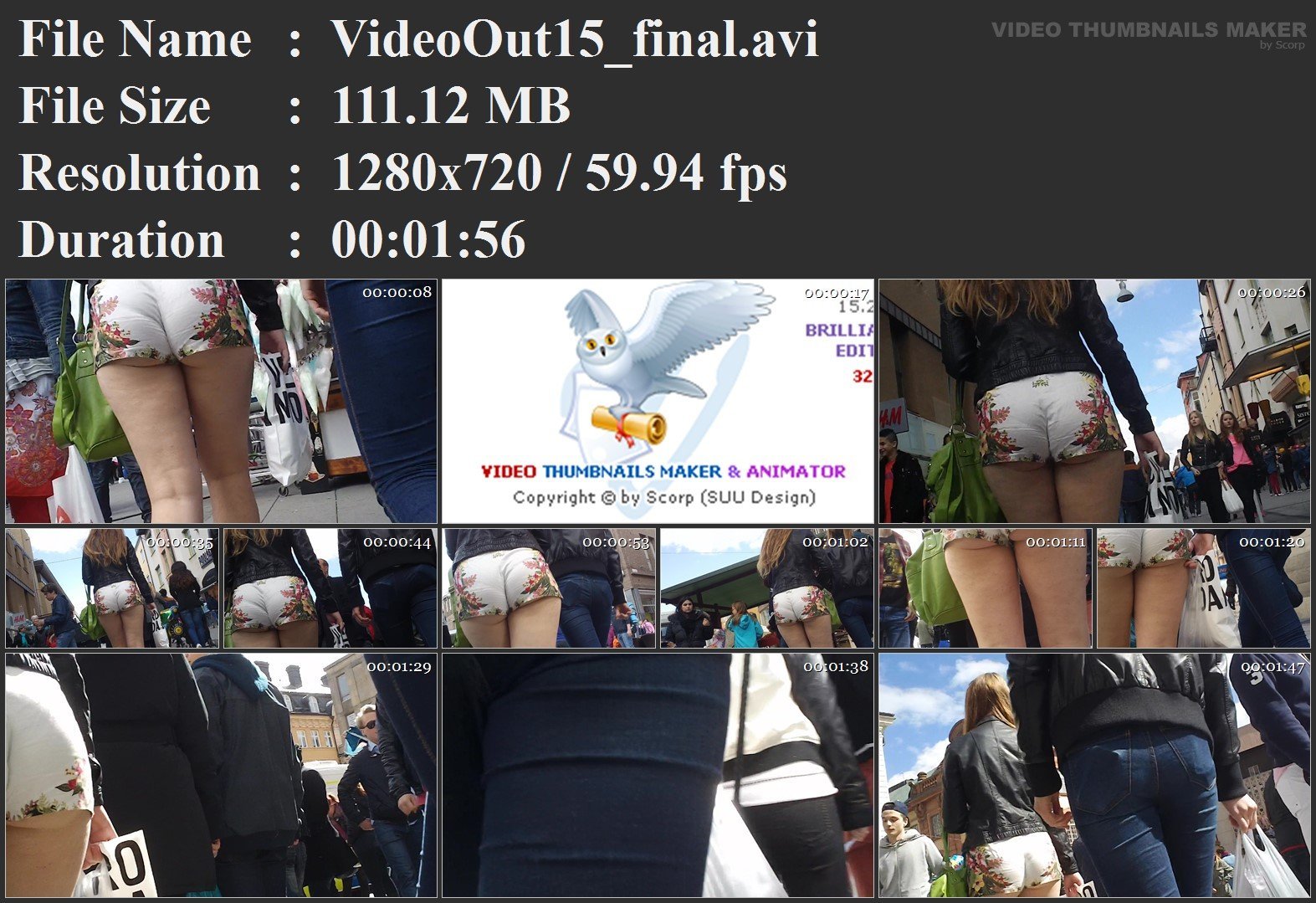 VideoOut15_final.avi.jpg