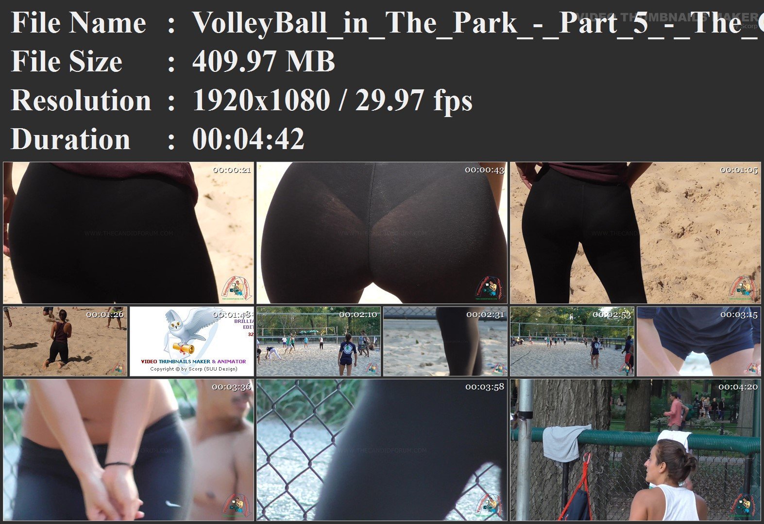 VolleyBall_in_The_Park_-_Part_5_-_The_Compilation.mp4.jpg