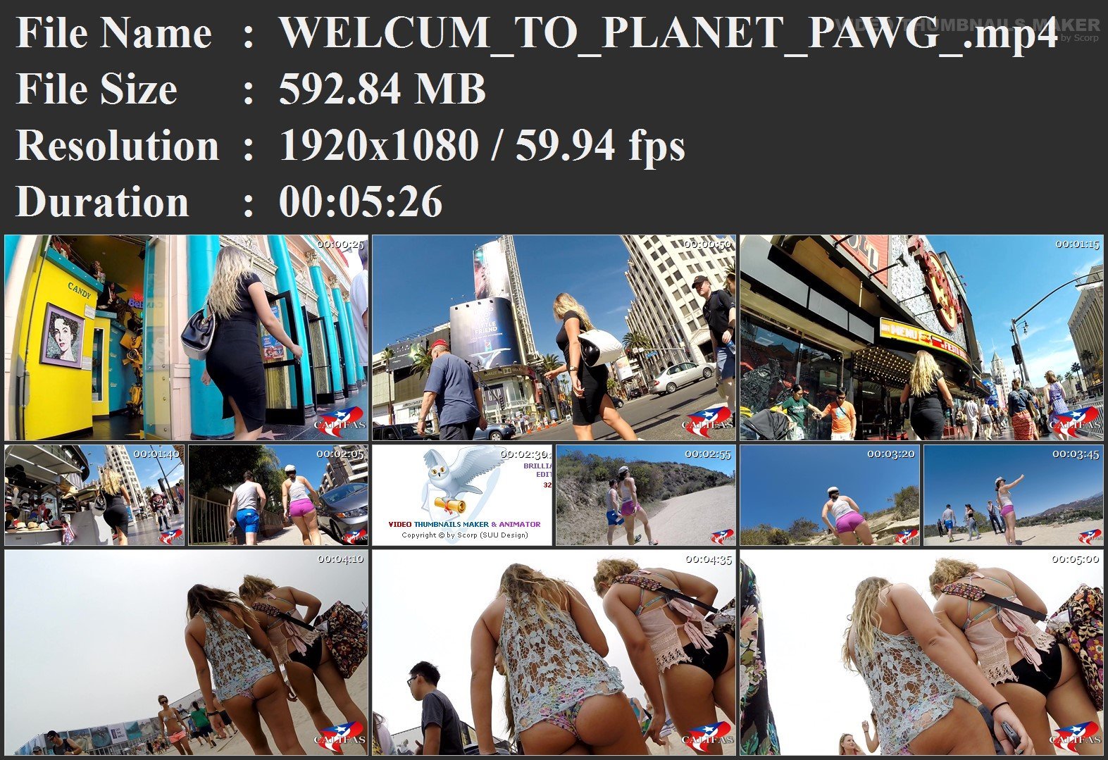WELCUM_TO_PLANET_PAWG_.mp4.jpg