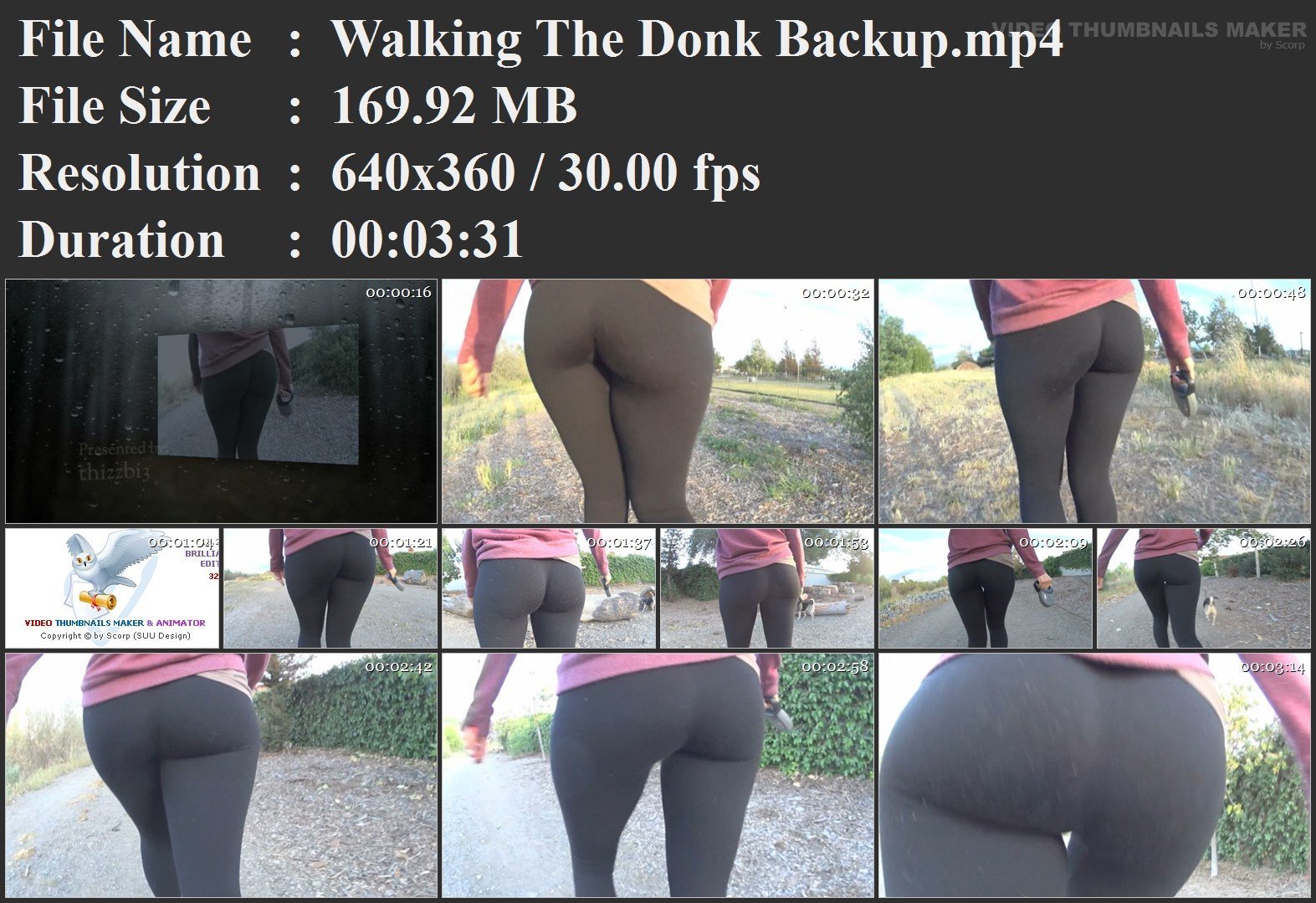 Walking The Donk Backup.mp4.jpg