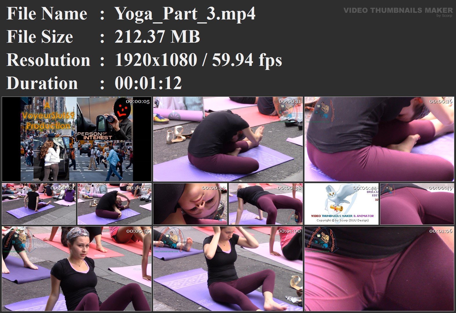 Yoga_Part_3.mp4.jpg