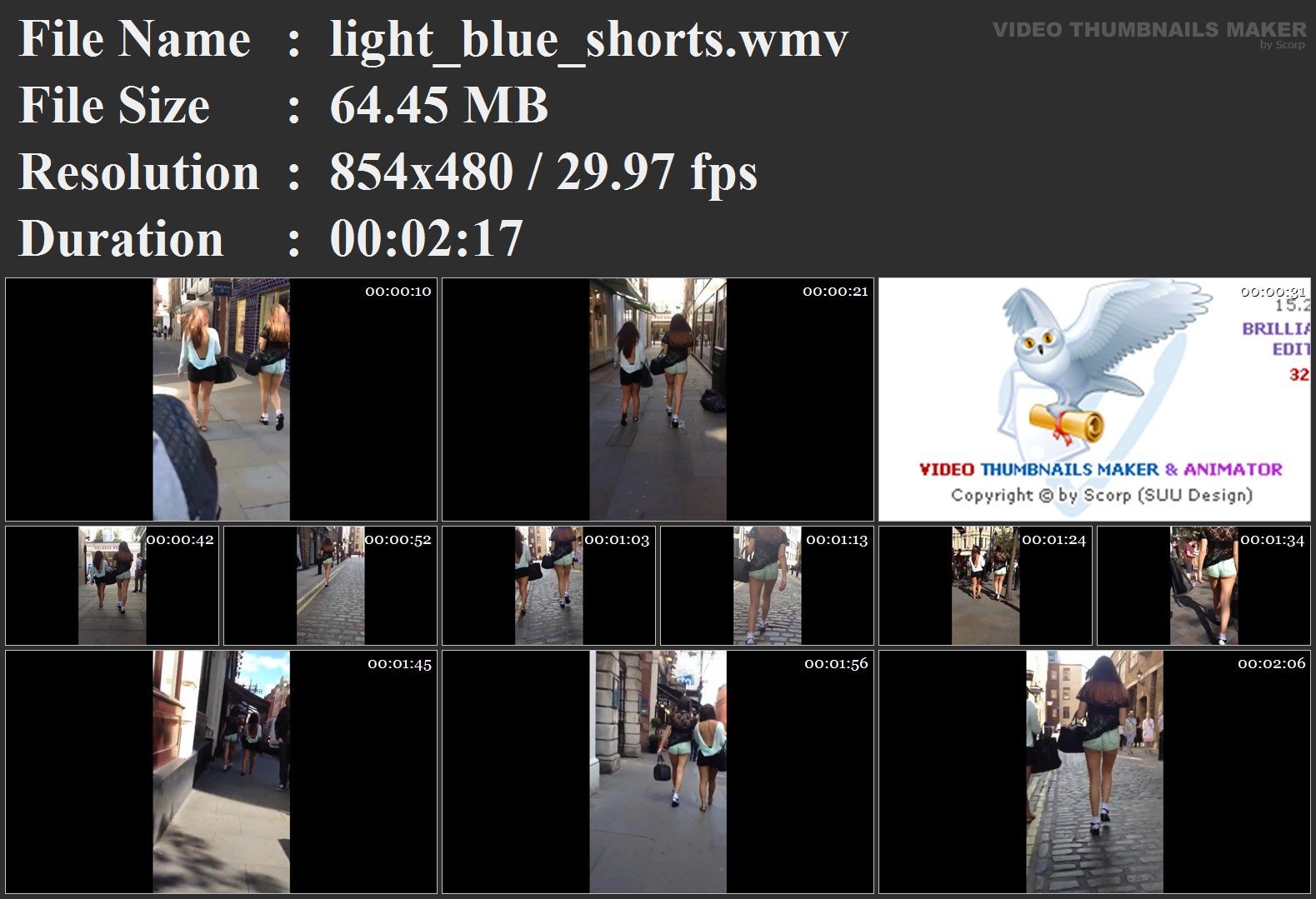 light_blue_shorts.wmv.jpg