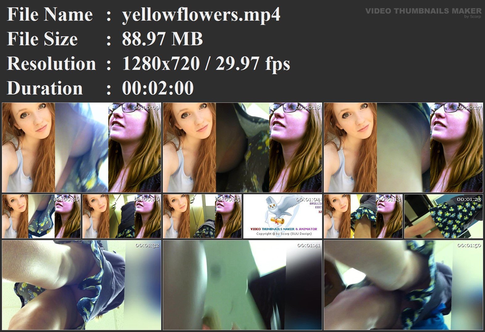 yellowflowers.mp4.jpg