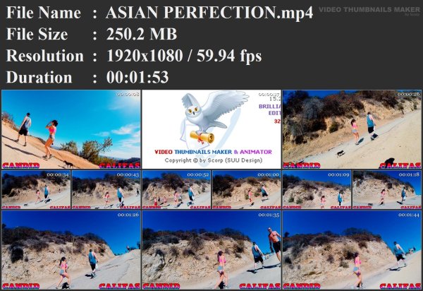 ASIAN PERFECTION.mp4.jpg