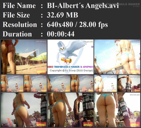 BI-Albert´s Angels.avi.jpg