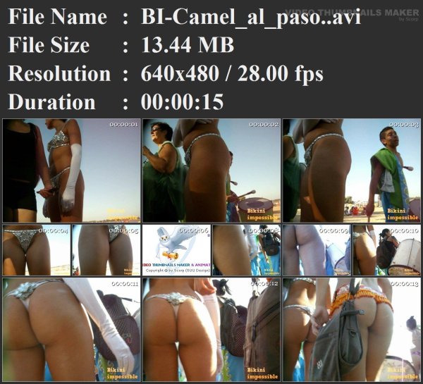 BI-Camel_al_paso..avi.jpg