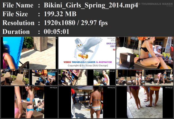 Bikini_Girls_Spring_2014.mp4.jpg