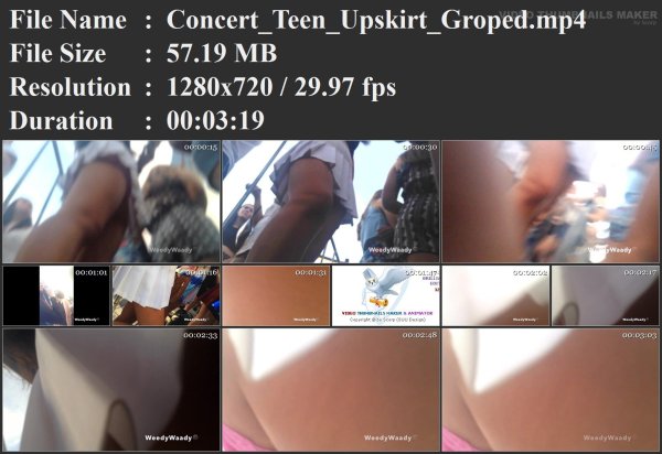 Concert_Teen_Upskirt_Groped.mp4.jpg