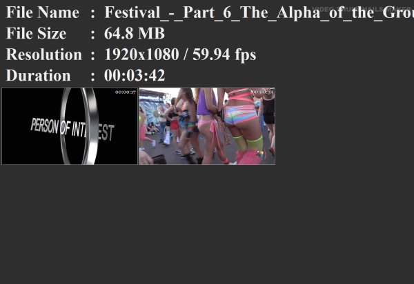 Festival_-_Part_6_The_Alpha_of_the_Group.mp4.jpg