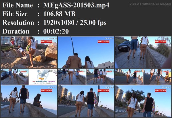 MEgASS-201503.mp4.jpg