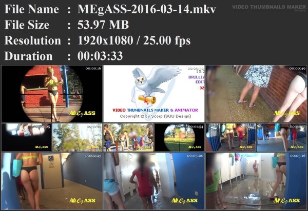 MEgASS-2016-03-14.mkv.jpg