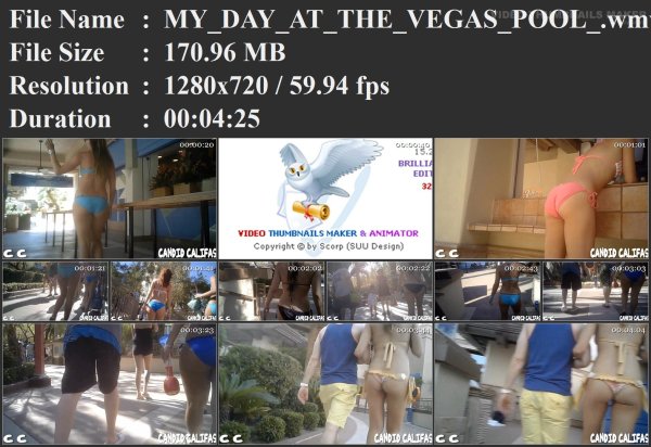 MY_DAY_AT_THE_VEGAS_POOL_.wmv.jpg