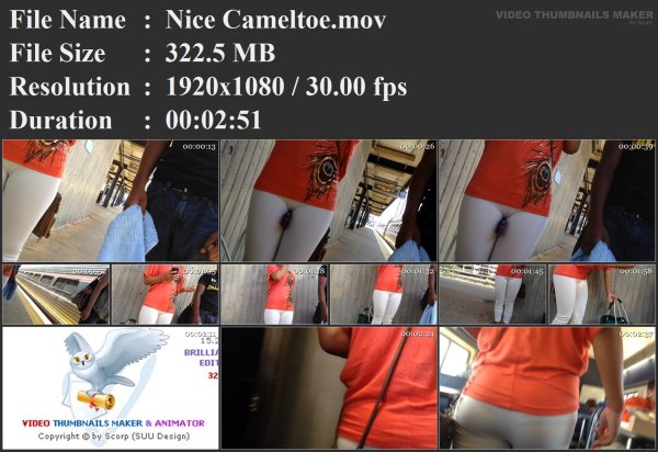 Nice Cameltoe.mov.jpg