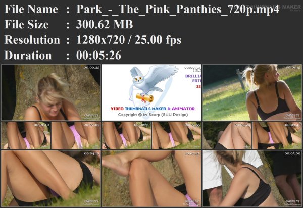 Park_-_The_Pink_Panthies_720p.mp4.jpg