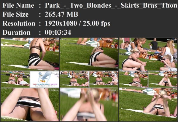 Park_-_Two_Blondes_-_Skirts_Bras_Thongs.wmv.jpg