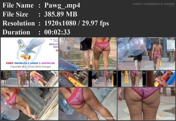 Pawg_.mp4.jpg