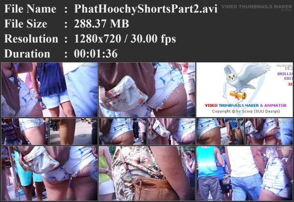 PhatHoochyShortsPart2.avi.jpg