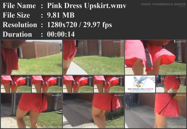 Pink Dress Upskirt.wmv.jpg