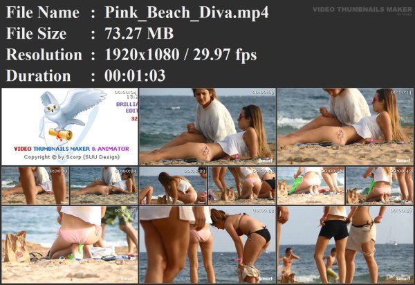 Pink_Beach_Diva.mp4.jpg