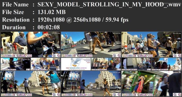 SEXY_MODEL_STROLLING_IN_MY_HOOD_.wmv.jpg