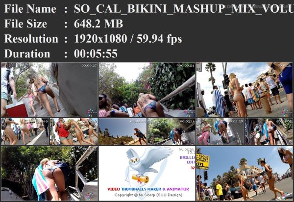 SO_CAL_BIKINI_MASHUP_MIX_VOLUME_3_.mp4.jpg