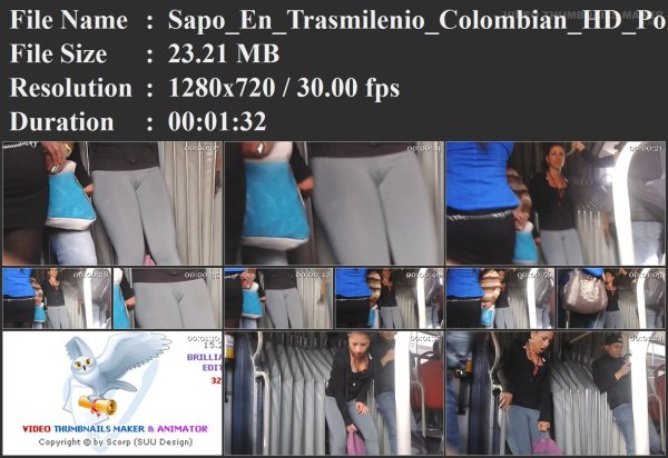 Sapo_En_Trasmilenio_Colombian_HD_Porn_Video_77_-_xHamster_es.mp4.jpg