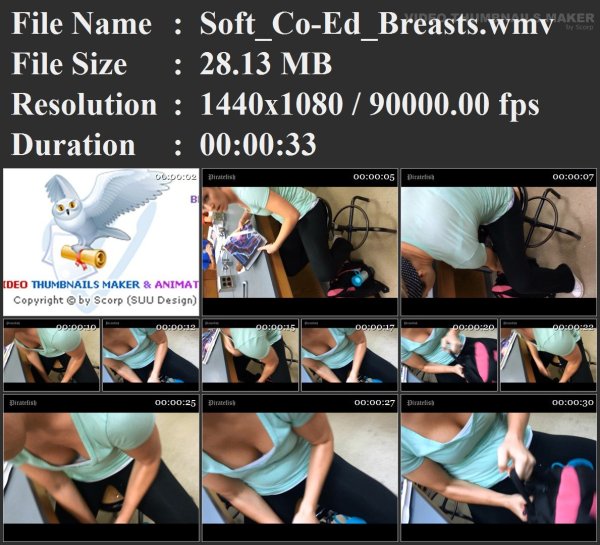 Soft_Co-Ed_Breasts.wmv.jpg