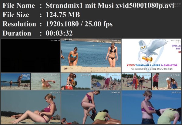 Strandmix1 mit Musi xvid50001080p.avi.jpg