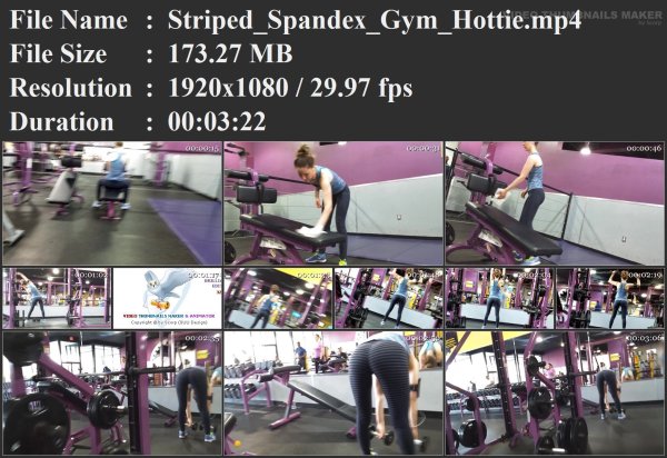 Striped_Spandex_Gym_Hottie.mp4.jpg