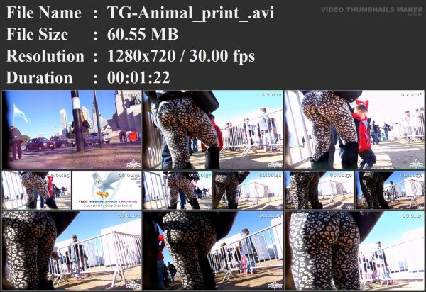 TG-Animal_print_.avi.jpg