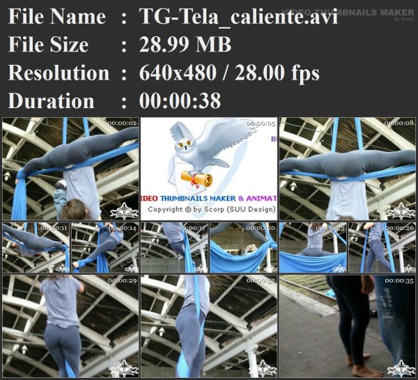 TG-Tela_caliente.avi.jpg