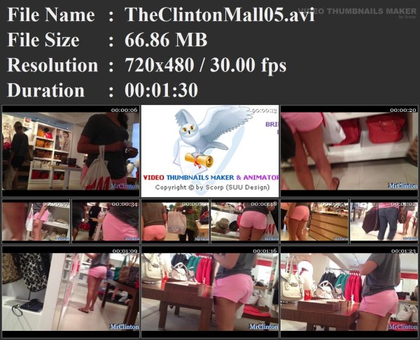 TheClintonMall05.avi.jpg