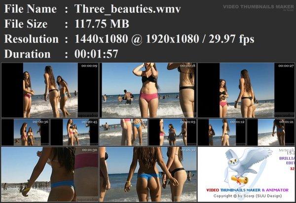 Three_beauties.wmv.jpg