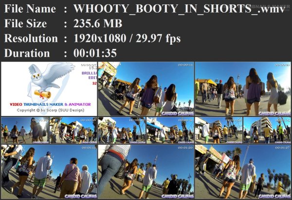 WHOOTY_BOOTY_IN_SHORTS_.wmv.jpg
