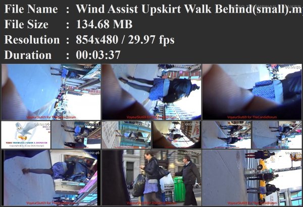 Wind Assist Upskirt Walk Behind(small).mp4.jpg