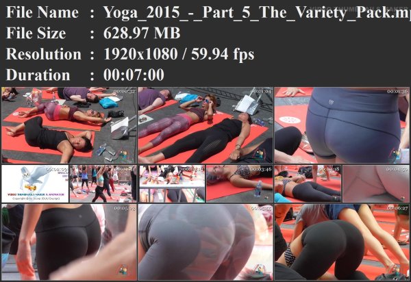Yoga_2015_-_Part_5_The_Variety_Pack.mp4.jpg