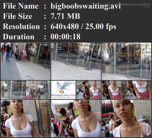 bigboobswaiting.avi.jpg