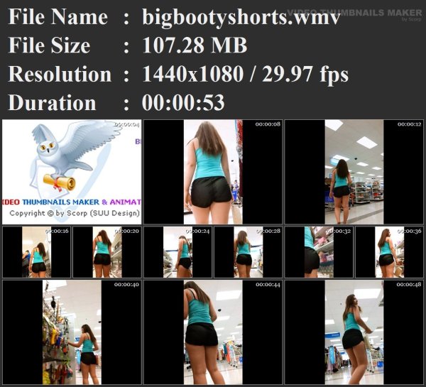 bigbootyshorts.wmv.jpg