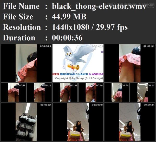 black_thong-elevator.wmv.jpg