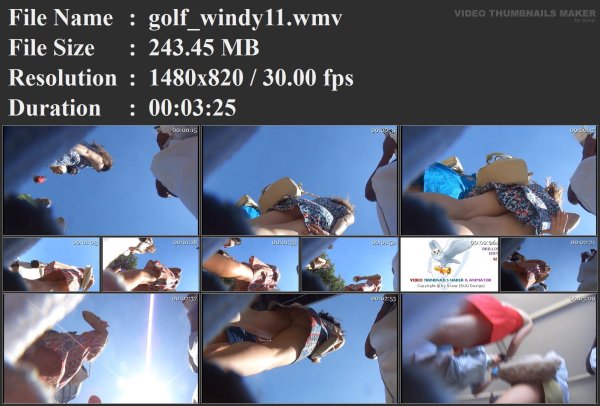 golf_windy11.wmv.jpg