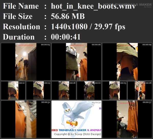 hot_in_knee_boots.wmv.jpg