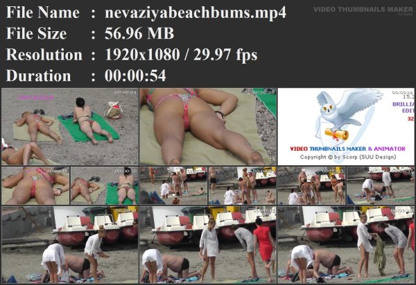 nevaziyabeachbums.mp4.jpg