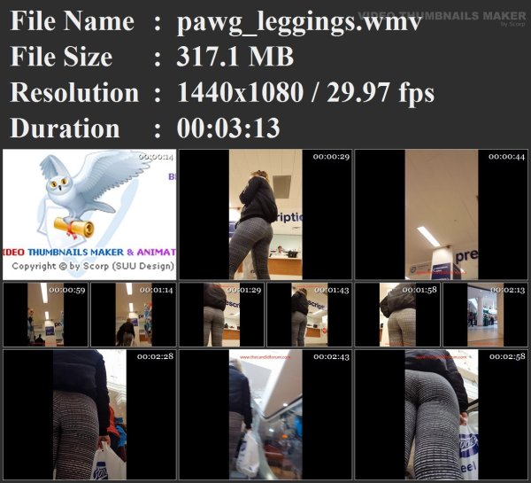 pawg_leggings.wmv.jpg